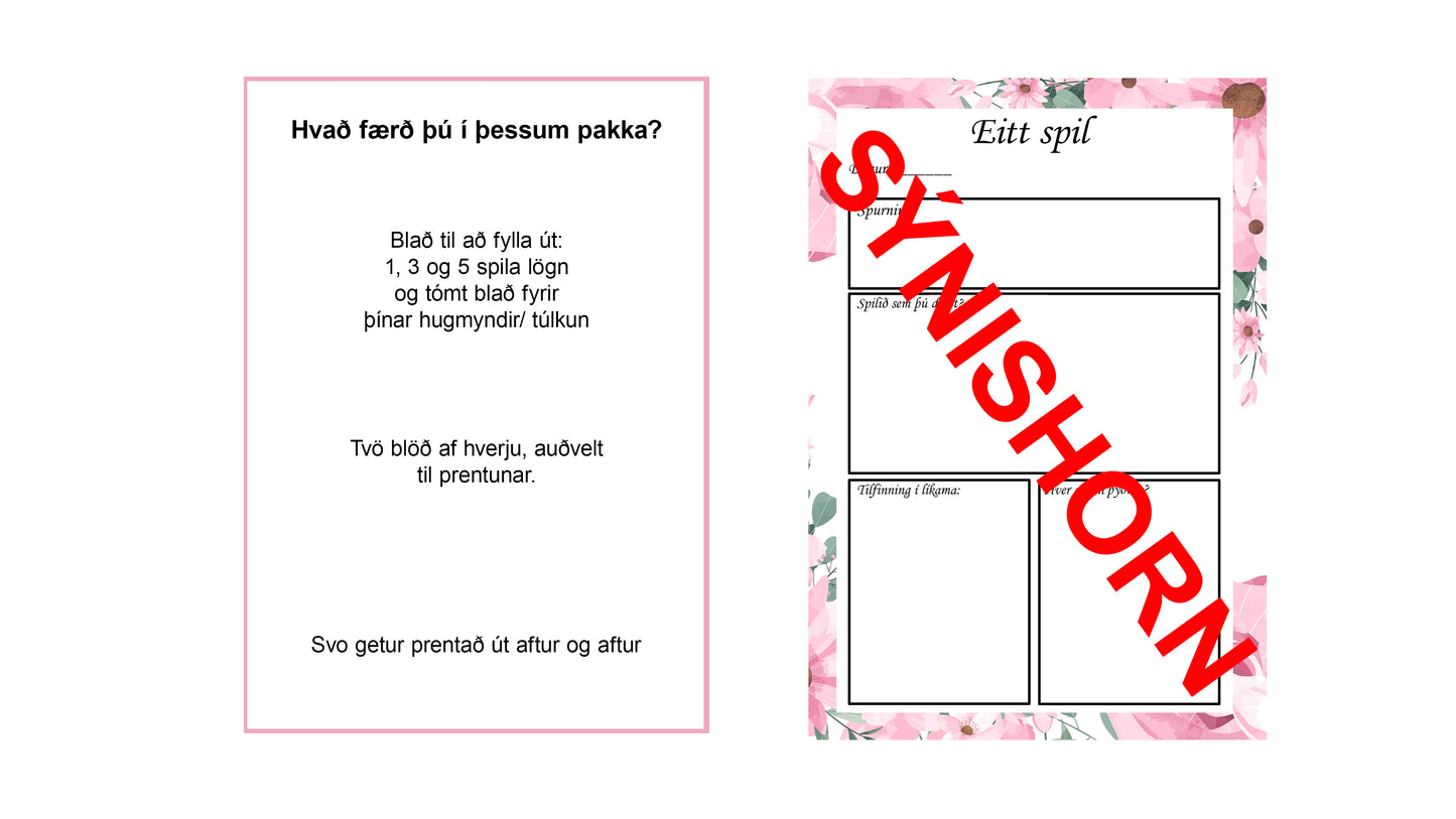 Spáspila Dagbók (Digital)